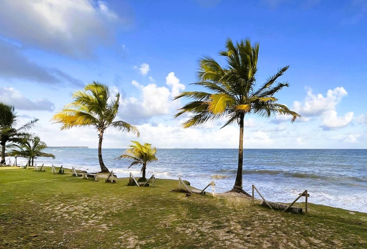 Alma Tropical Mini Resort Vera Cruz de Itaparica Buitenkant foto